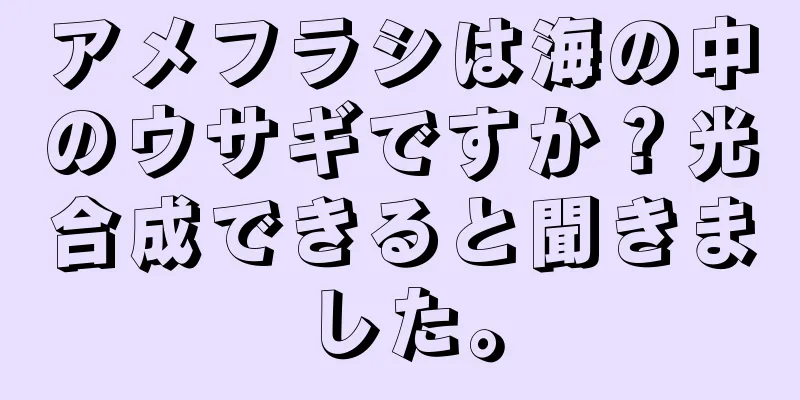 アメフラシは海の中のウサギですか？光合成できると聞きました。