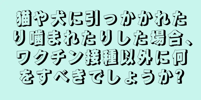 猫や犬に引っかかれたり噛まれたりした場合、ワクチン接種以外に何をすべきでしょうか?