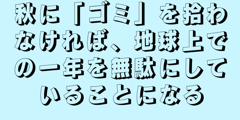 秋に「ゴミ」を拾わなければ、地球上での一年を無駄にしていることになる