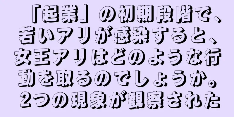 「起業」の初期段階で、若いアリが感染すると、女王アリはどのような行動を取るのでしょうか。 2つの現象が観察された