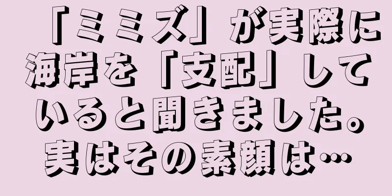 「ミミズ」が実際に海岸を「支配」していると聞きました。実はその素顔は…