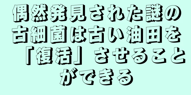 偶然発見された謎の古細菌は古い油田を「復活」させることができる