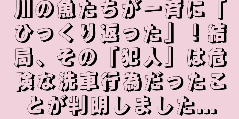 川の魚たちが一斉に「ひっくり返った」！結局、その「犯人」は危険な洗車行為だったことが判明しました...
