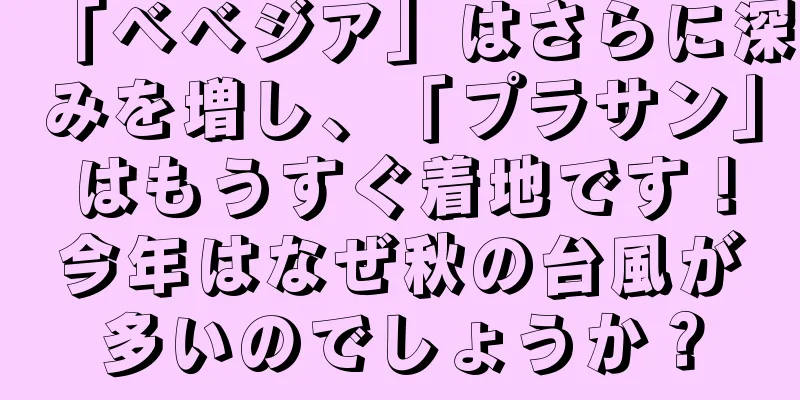 「ベベジア」はさらに深みを増し、「プラサン」はもうすぐ着地です！今年はなぜ秋の台風が多いのでしょうか？