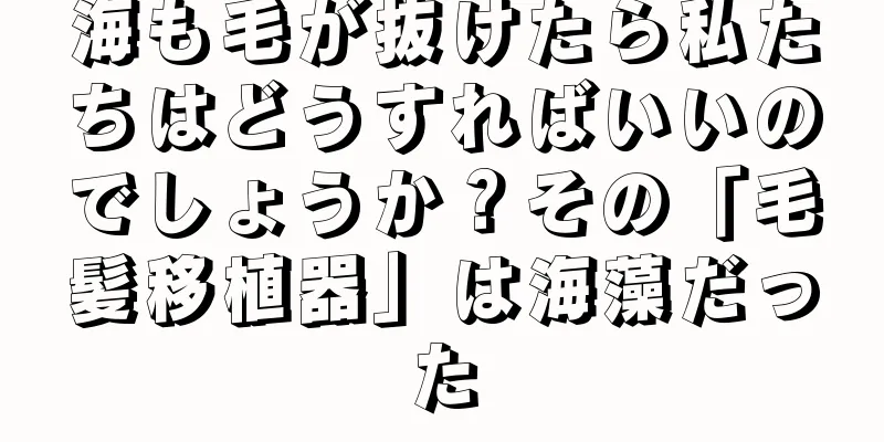 海も毛が抜けたら私たちはどうすればいいのでしょうか？その「毛髪移植器」は海藻だった