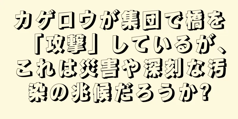 カゲロウが集団で橋を「攻撃」しているが、これは災害や深刻な汚染の兆候だろうか?
