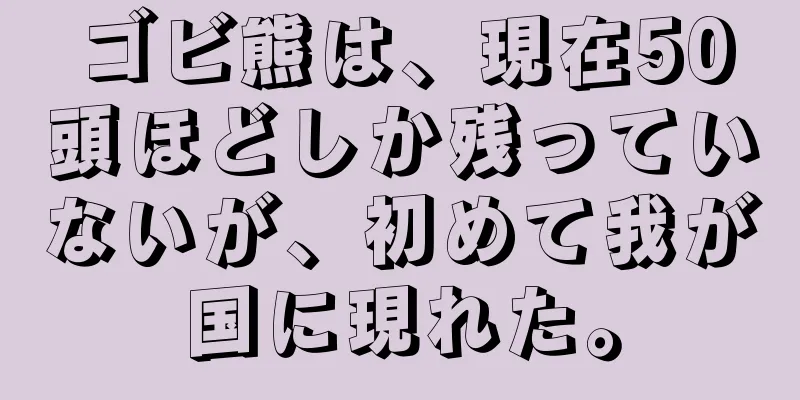 ゴビ熊は、現在50頭ほどしか残っていないが、初めて我が国に現れた。