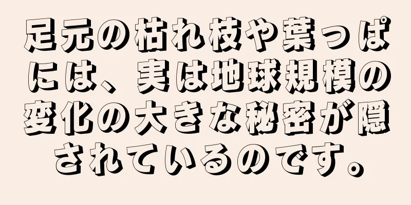 足元の枯れ枝や葉っぱには、実は地球規模の変化の大きな秘密が隠されているのです。