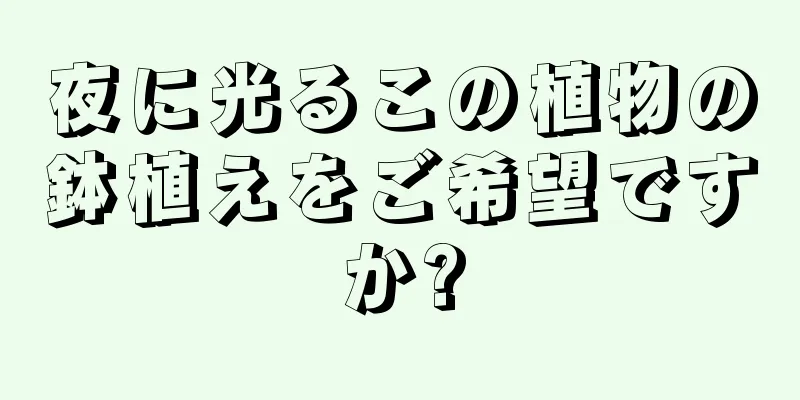 夜に光るこの植物の鉢植えをご希望ですか?