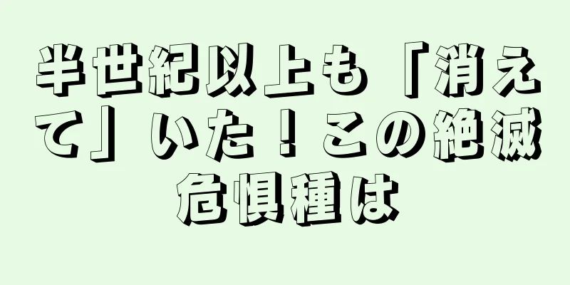 半世紀以上も「消えて」いた！この絶滅危惧種は
