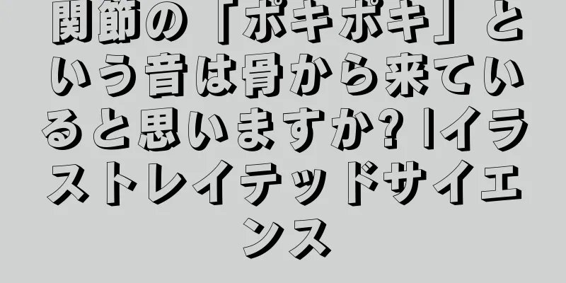 関節の「ポキポキ」という音は骨から来ていると思いますか? |イラストレイテッドサイエンス