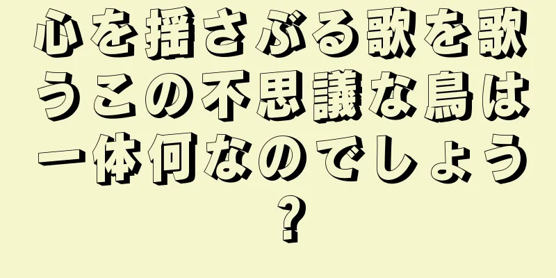 心を揺さぶる歌を歌うこの不思議な鳥は一体何なのでしょう？