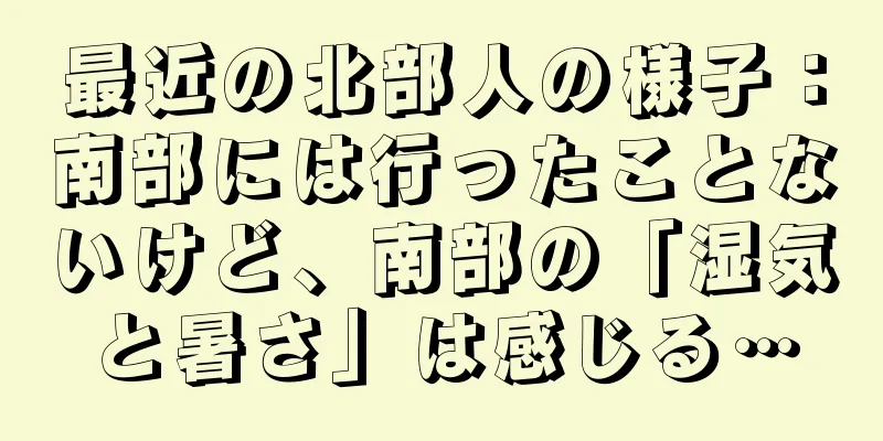 最近の北部人の様子：南部には行ったことないけど、南部の「湿気と暑さ」は感じる…