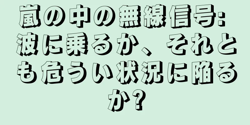 嵐の中の無線信号: 波に乗るか、それとも危うい状況に陥るか?