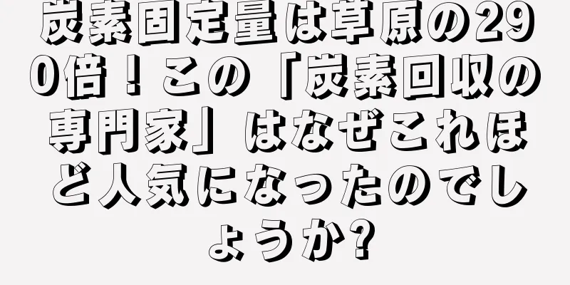 炭素固定量は草原の290倍！この「炭素回収の専門家」はなぜこれほど人気になったのでしょうか?