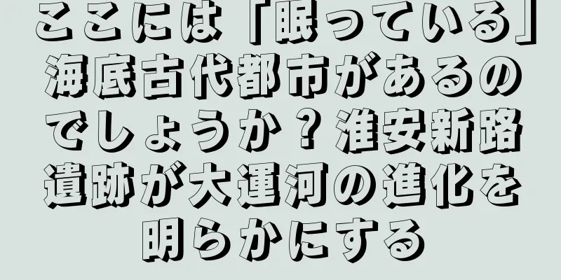 ここには「眠っている」海底古代都市があるのでしょうか？淮安新路遺跡が大運河の進化を明らかにする