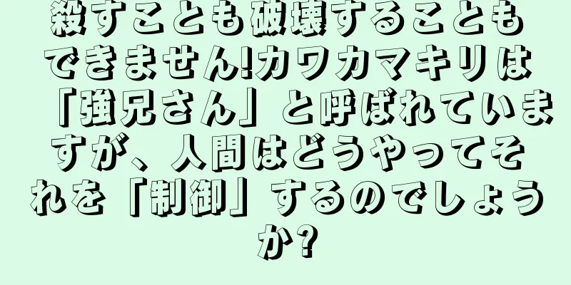 殺すことも破壊することもできません!カワカマキリは「強兄さん」と呼ばれていますが、人間はどうやってそれを「制御」するのでしょうか?