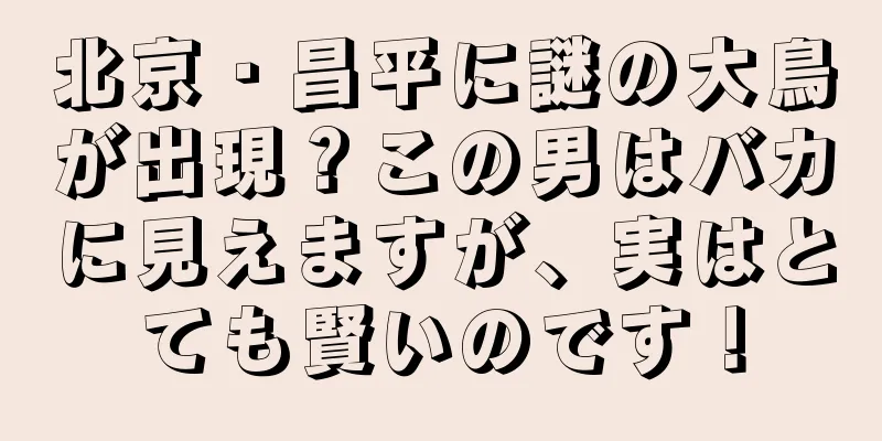 北京・昌平に謎の大鳥が出現？この男はバカに見えますが、実はとても賢いのです！