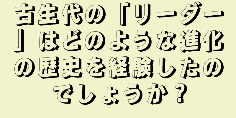 古生代の「リーダー」はどのような進化の歴史を経験したのでしょうか？
