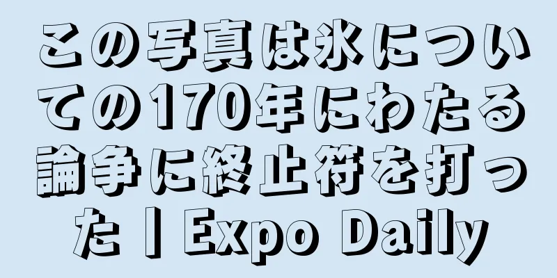 この写真は氷についての170年にわたる論争に終止符を打った丨Expo Daily