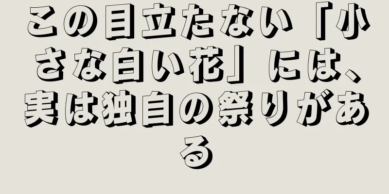 この目立たない「小さな白い花」には、実は独自の祭りがある