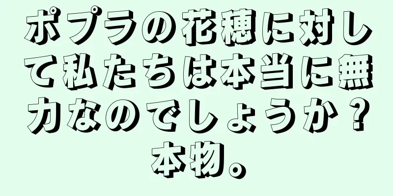 ポプラの花穂に対して私たちは本当に無力なのでしょうか？本物。