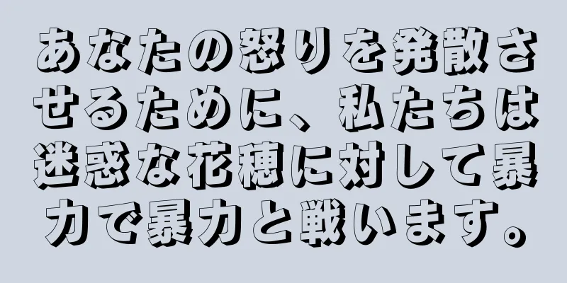 あなたの怒りを発散させるために、私たちは迷惑な花穂に対して暴力で暴力と戦います。