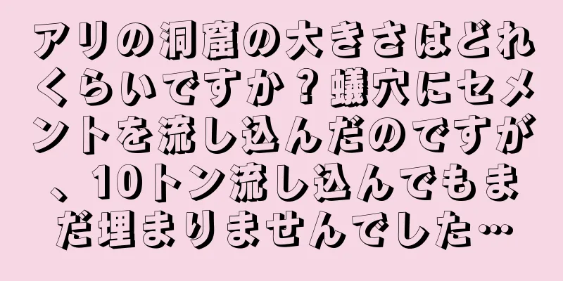 アリの洞窟の大きさはどれくらいですか？蟻穴にセメントを流し込んだのですが、10トン流し込んでもまだ埋まりませんでした…
