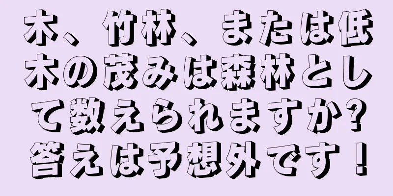 木、竹林、または低木の茂みは森林として数えられますか?答えは予想外です！