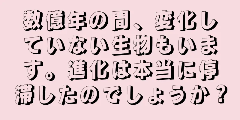 数億年の間、変化していない生物もいます。進化は本当に停滞したのでしょうか？