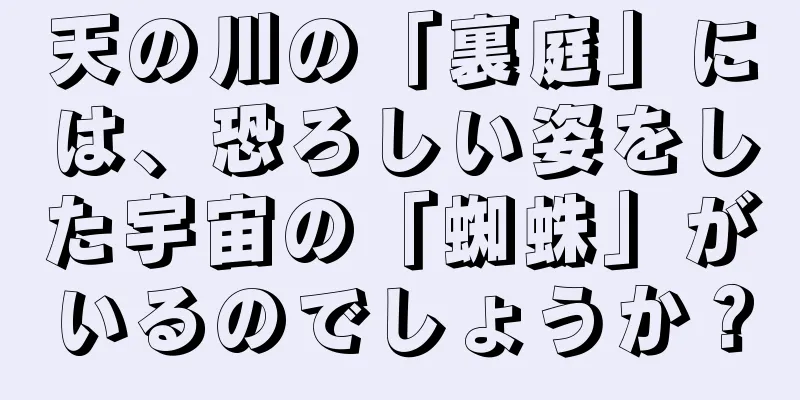 天の川の「裏庭」には、恐ろしい姿をした宇宙の「蜘蛛」がいるのでしょうか？