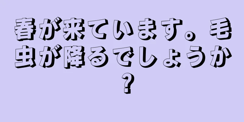 春が来ています。毛虫が降るでしょうか？