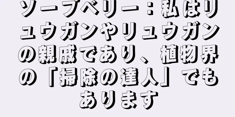 ソープベリー：私はリュウガンやリュウガンの親戚であり、植物界の「掃除の達人」でもあります