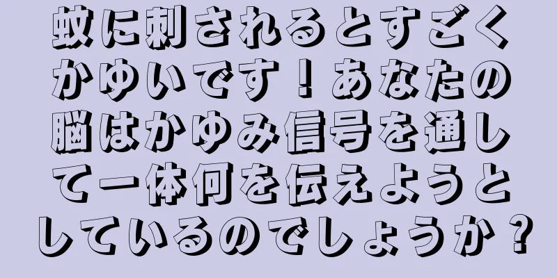 蚊に刺されるとすごくかゆいです！あなたの脳はかゆみ信号を通して一体何を伝えようとしているのでしょうか？