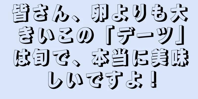 皆さん、卵よりも大きいこの「デーツ」は旬で、本当に美味しいですよ！