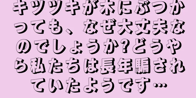 キツツキが木にぶつかっても、なぜ大丈夫なのでしょうか?どうやら私たちは長年騙されていたようです…