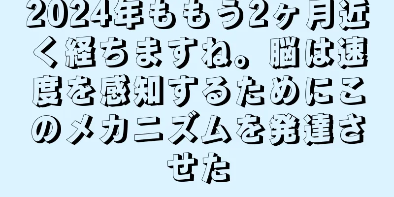 2024年ももう2ヶ月近く経ちますね。脳は速度を感知するためにこのメカニズムを発達させた