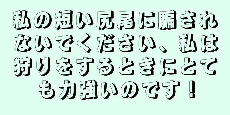 私の短い尻尾に騙されないでください、私は狩りをするときにとても力強いのです！