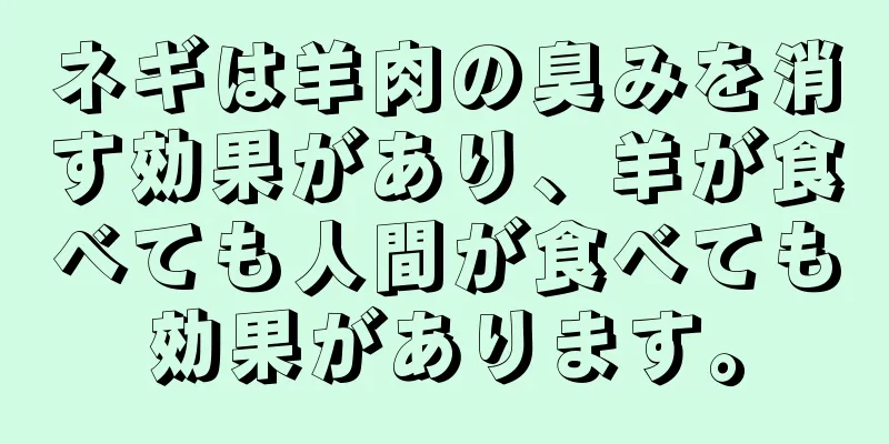 ネギは羊肉の臭みを消す効果があり、羊が食べても人間が食べても効果があります。