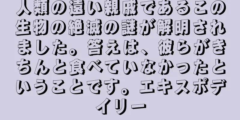 人類の遠い親戚であるこの生物の絶滅の謎が解明されました。答えは、彼らがきちんと食べていなかったということです。エキスポデイリー