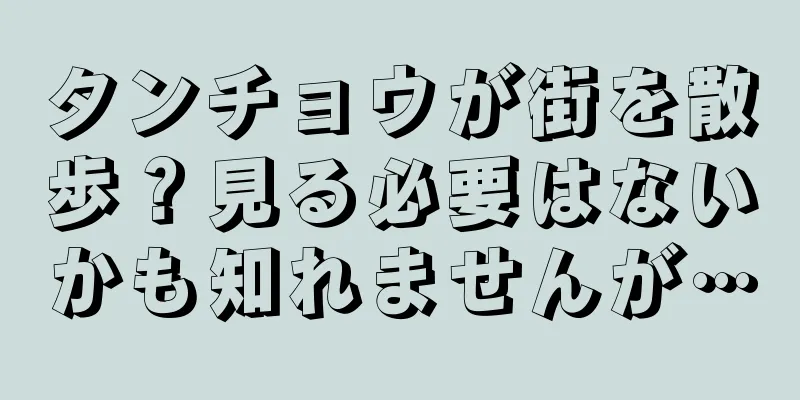 タンチョウが街を散歩？見る必要はないかも知れませんが…