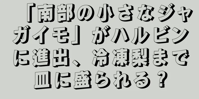 「南部の小さなジャガイモ」がハルビンに進出、冷凍梨まで皿に盛られる？