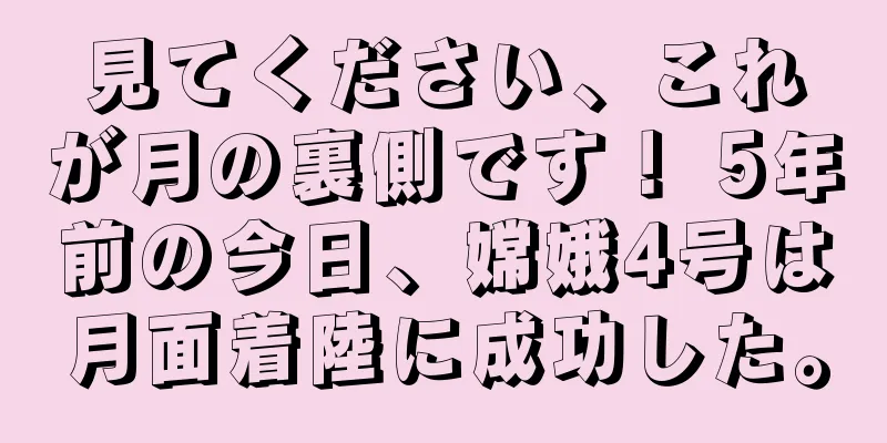 見てください、これが月の裏側です！ 5年前の今日、嫦娥4号は月面着陸に成功した。