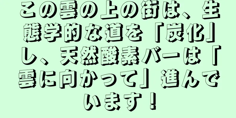 この雲の上の街は、生態学的な道を「炭化」し、天然酸素バーは「雲に向かって」進んでいます！