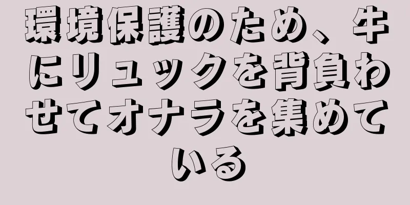 環境保護のため、牛にリュックを背負わせてオナラを集めている