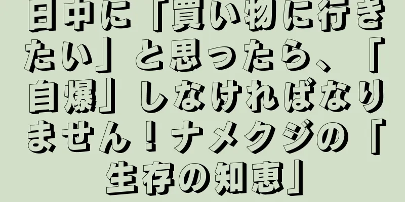 日中に「買い物に行きたい」と思ったら、「自爆」しなければなりません！ナメクジの「生存の知恵」