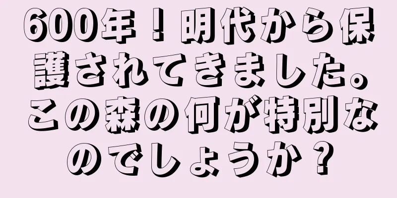 600年！明代から保護されてきました。この森の何が特別なのでしょうか？