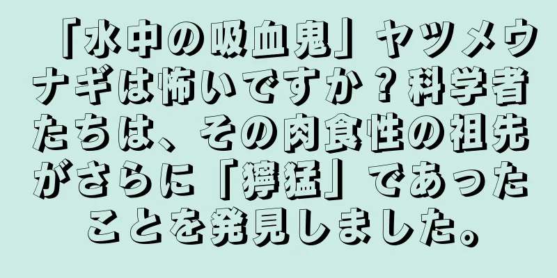 「水中の吸血鬼」ヤツメウナギは怖いですか？科学者たちは、その肉食性の祖先がさらに「獰猛」であったことを発見しました。