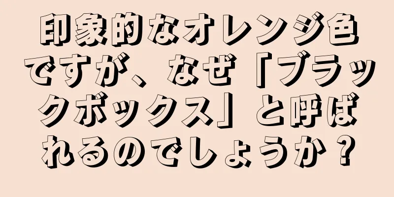 印象的なオレンジ色ですが、なぜ「ブラックボックス」と呼ばれるのでしょうか？