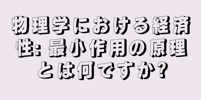 物理学における経済性: 最小作用の原理とは何ですか?